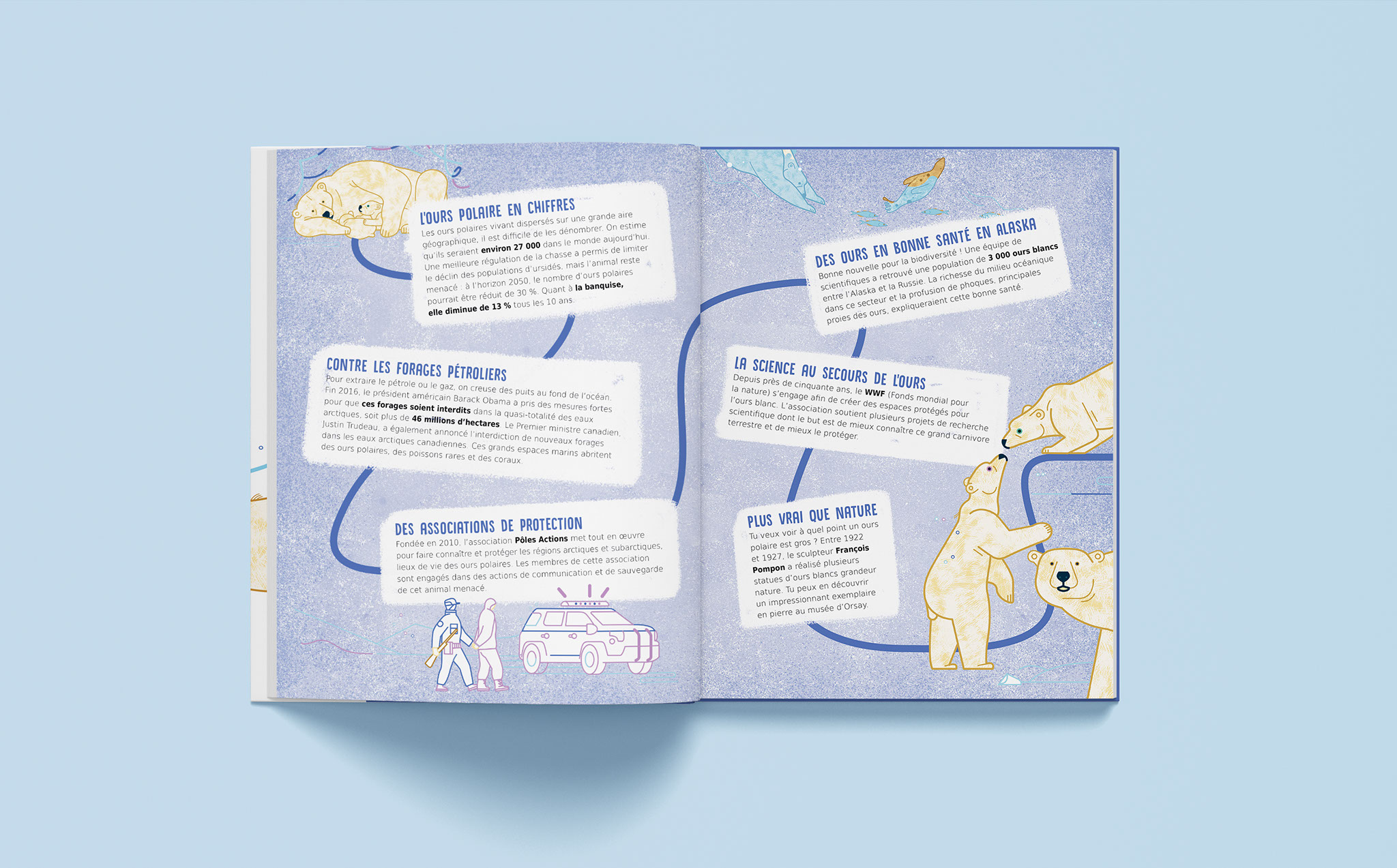 Suis du doigt l'ours polaire