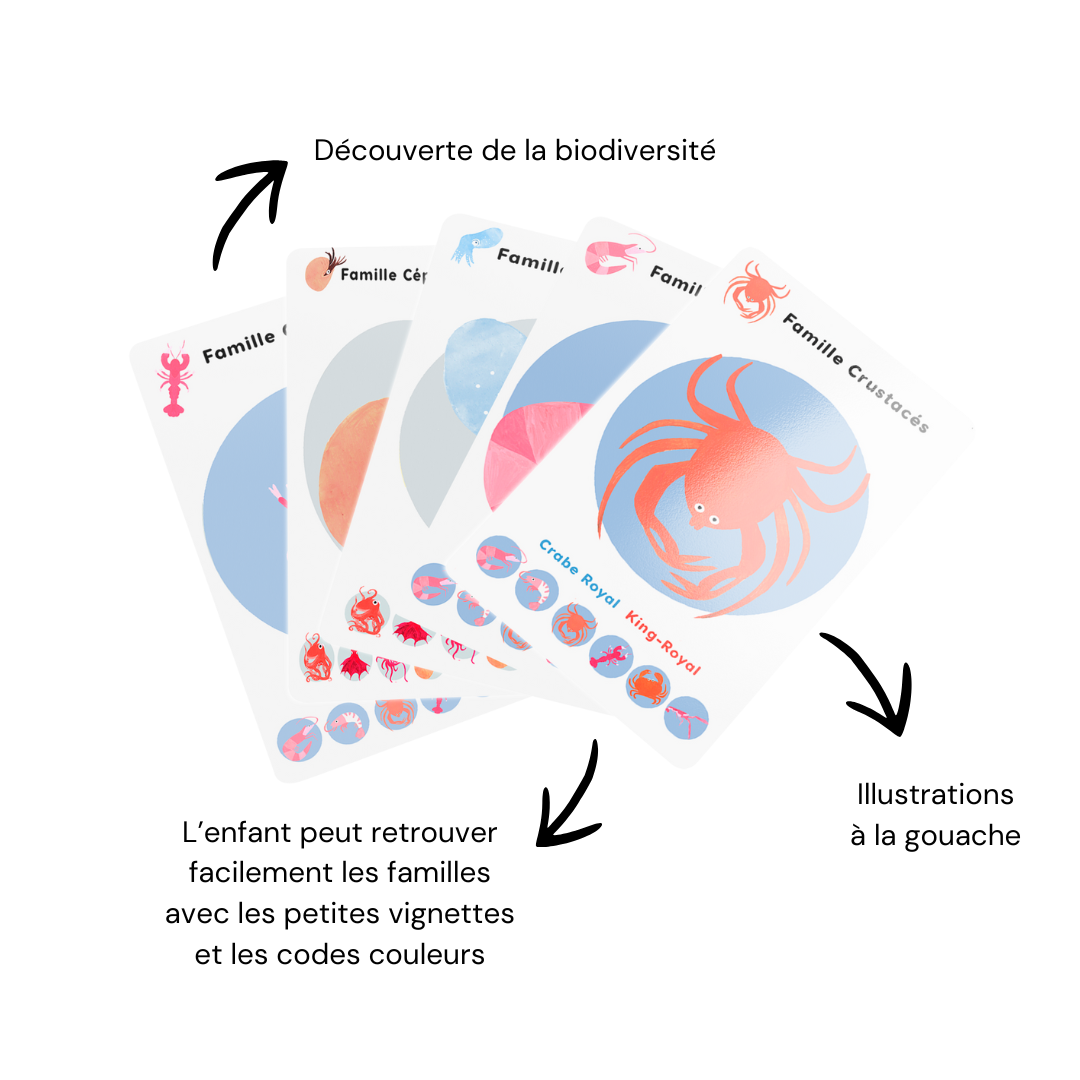 jeu 7 familles océan